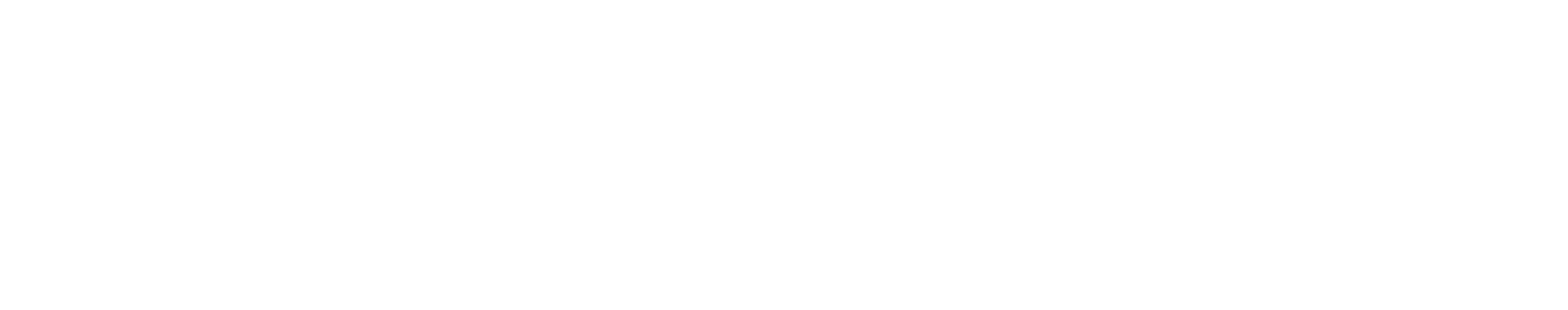 Ant Queue